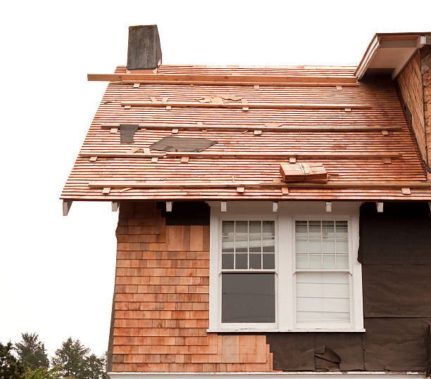 Best Insulated Siding Installation  in Burgettstown, PA